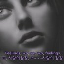 Feelings~Morris Albert 이미지