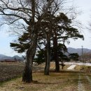 천천면오연삼거리 이미지