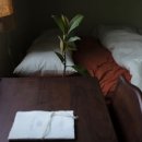 카도스테이 이미지