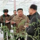 통일농장 이미지