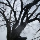 삼산공원2 이미지