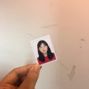 하쿠나마타타디자인스튜디오