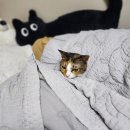 일은 끝났지만 집은 못가는 슬픔