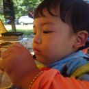 일영무두리캠핑장 이미지