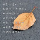 9월 지인이나 친구에게 카톡이나 문자로 보내기 좋은 인사말 50 이미지