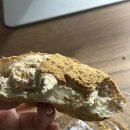 씨유(CU) 수정진성로점 | [TIL | 03/20] CU 신상 연세우유 인절미 생크림빵 후기 ㅣ 편의점 신상 디저트 내돈내산 칼로리