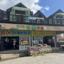 미륵송계로 | 악어섬맛집, 송계계곡 앞 월악산영봉가든에서 능이버섯백숙 후기!