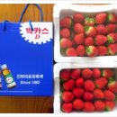 120209 목포종합사회복지관 후원금5만원, 박카스, 딸기 후원해 주셨습니다-감사드립니다. 이미지