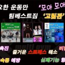 팀베스트최고체육관유림관