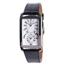 에버그린 이미지