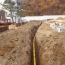 (주)클렌시아 이미지