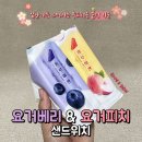 홍루이젠수완점 | 맛있고 건강하게! 헬시 플레저, HUNGRUICHEN. 홍루이젠 (Feat. 요거베리, 요거피치)