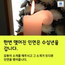 춘천상조 이미지