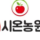 시온쇼핑 이미지