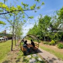 강동로-39 이미지