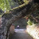 지리산발전소 이미지