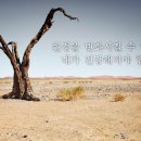 발머스한의원 - 수성구 달구벌대로 2583 | 발머스한의원