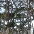 요월정 화장실 이미지