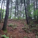 의암순례길(봄내길 2-1코스) | 2025.7.17 춘천 서면 방동리 둘레길 산행 후기