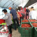 평리농장 이미지