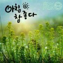 참좋타