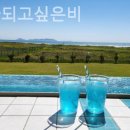 바다가 되고싶은 비 이미지