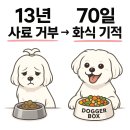 저단13 이미지