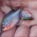 창촌민박 이미지