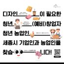 디자인 이미지