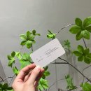 유림-1088 | [동탄미용실] 인생 미용실 “에디프헤어” 볼륨매직 솔직 후기