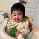 Blossom for you | 후쿠오카 트립트랩 하이체어 직구 주문부터 수령까지 내돈내산 후기 (+요요3 유모차)