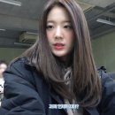 멋쟁이토마토 이미지