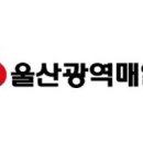 해외여행 3000만명 시대…출국 전 예방접종·귀국 후 건강관리 중요 이미지