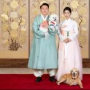 한국동물병원 이미지