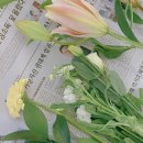 천호대로 213길 이미지