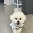 해나동물병원 이미지