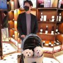 에이미 그루밍 이미지