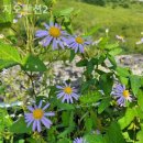 지오펜션2 이미지