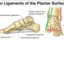 새터 한의원 이미지
