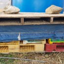 인우농장 이미지