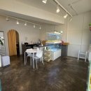 펫퍼스트24시 서울송파점 강아지고양이분양말티푸말티즈푸들 이미지