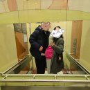 제왕주차장,참마트 등 | 쌍둥이 임신 36주 0일 응급 제왕절개 신촌세브란스 출산 통증 후기