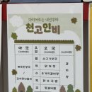 아국오국