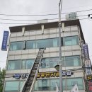 용인대SM복싱클럽 본관 이미지