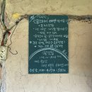 조신 | [전라도 촌캉스] 우정여행으로 다녀온 장수 촌캉스