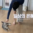 찰리팜하우스 이미지