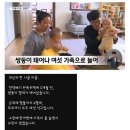 다둥이집 고민에 부리나케 달려온 공사 업체 이미지