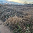 정족동농장 이미지