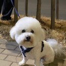 다빈이네 이미지