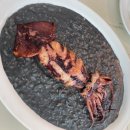 쏘뇨 티스토리
